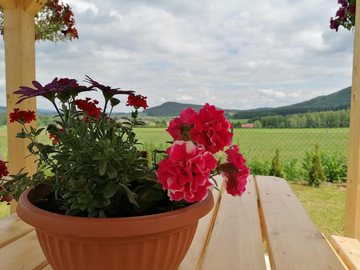 Domki Pod Derkaczem Radkow Exterior foto